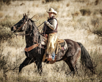 Eaton Cattle Drive