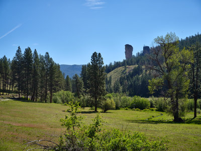 Steins Pillar