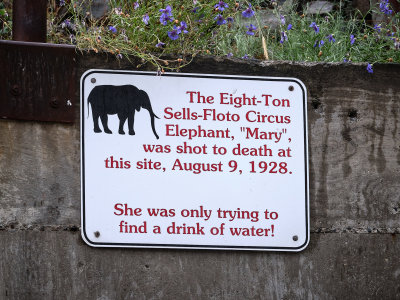 Grave of Thirsty Mary the Elephant