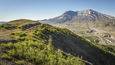 Harry's Ridge Trail