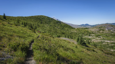 Harrys Ridge Trail