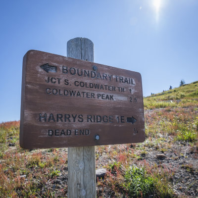 Harry's Ridge Trail