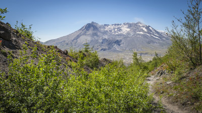 Harry's Ridge Trail