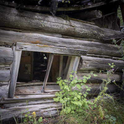 Bodie - Ghost Town