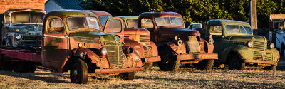 Dave's Old Truck Rescue
