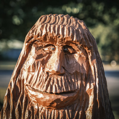 Bigfoot Family