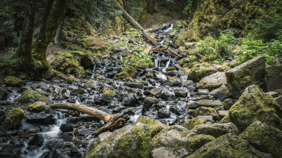 Starvation Creek Falls