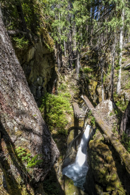 Ladder Creek Falls & Gardens