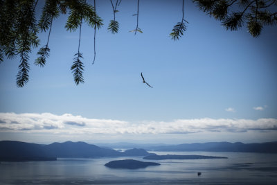 Oyster Dome Trail