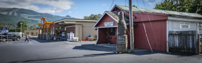 Little Roadside Tavern Bear
