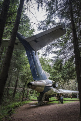 Airplane Home in the Woods