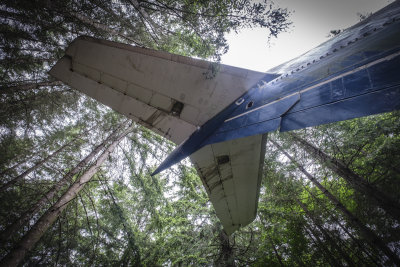Airplane Home in the Woods