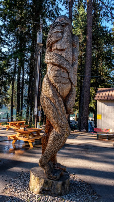 Silver Beach Bigfoot