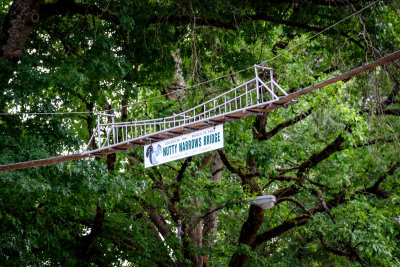 Nutty Narrows Bridge