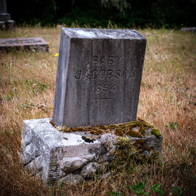 Elsie Cemetery