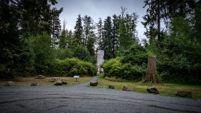 Worlds Largest Sitka Spruce Stump