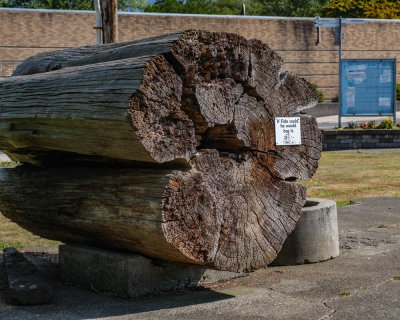 Tillamook County Pioneer Museum