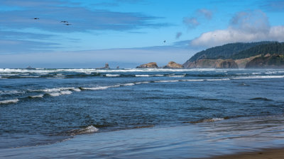 Oregon Coast