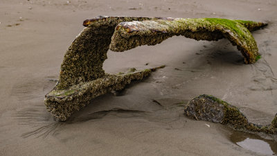 Wreck of the Peter Iredale