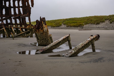 Wreck of the Peter Iredale
