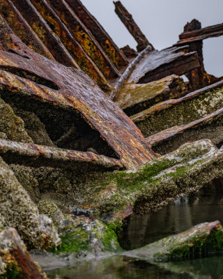 Wreck of the Peter Iredale