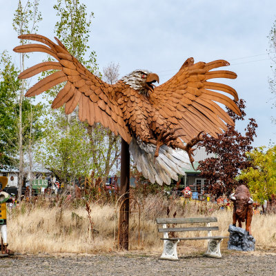 Statue Collection and Lawn Art