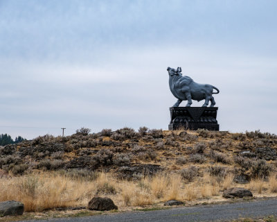 Statue Collection and Lawn Art