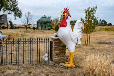 Statue Collection and Lawn Art