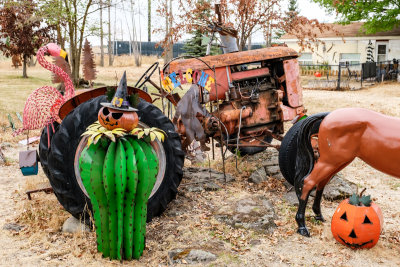 Statue Collection and Lawn Art