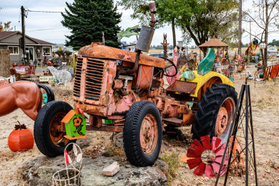 Statue Collection and Lawn Art
