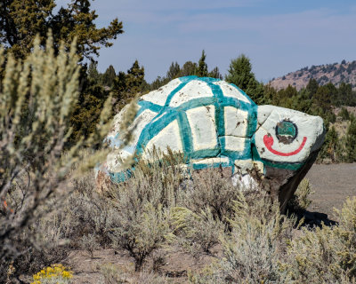 Turtle Rock