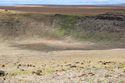 Crater Rings