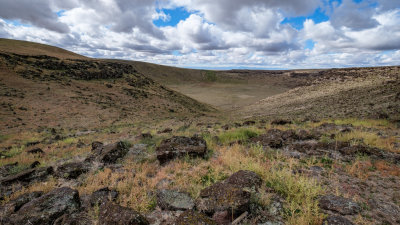 Crater Rings