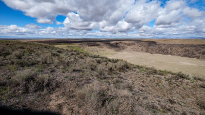 Crater Rings