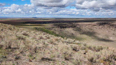 Crater Rings