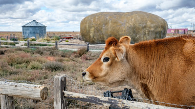 Big Idaho Potato Hotel