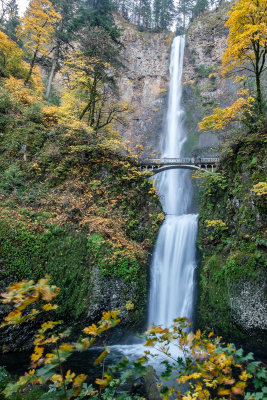 Multnomah Falls