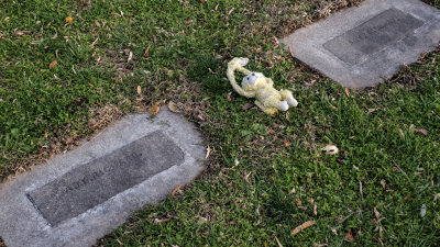 Pioneer Graveyard