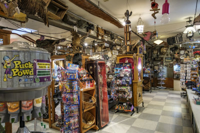 Marsh's Free Museum
