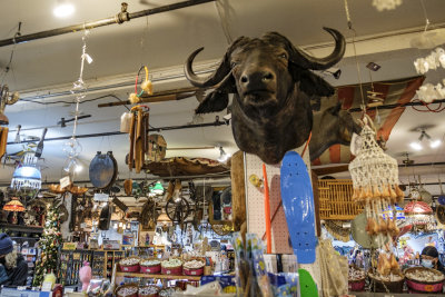 Marsh's Free Museum