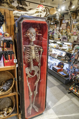 Marsh's Free Museum