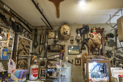 Marsh's Free Museum