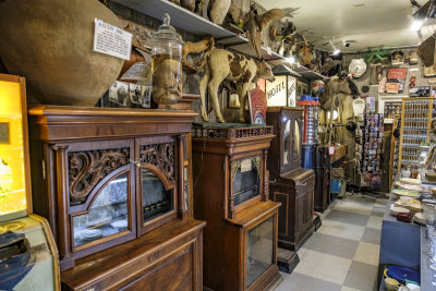 Marsh's Free Museum