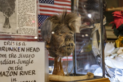 Marsh's Free Museum