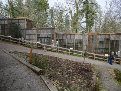 Cascades Raptor Center
