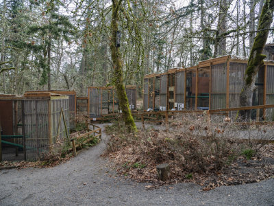 Cascades Raptor Center