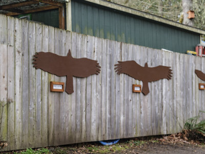 Cascades Raptor Center