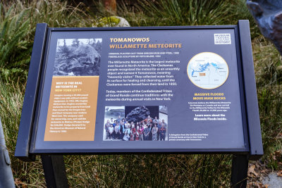 Willamette Meteorite Replica