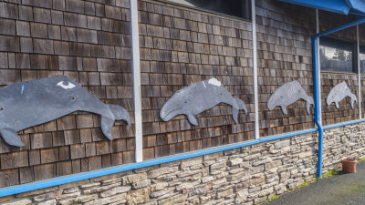 Whale, Sea Life, and Shark Museum