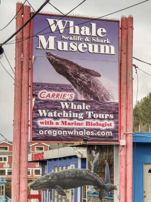 Whale, Sea Life, and Shark Museum